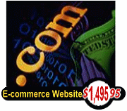 ecommerce web site development